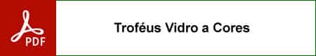 trofeus vidro a cores